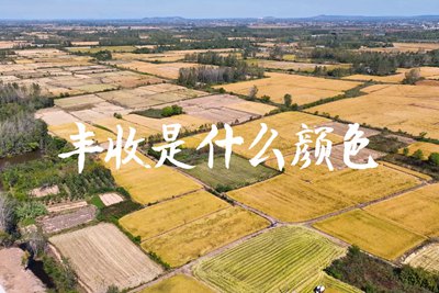 春種一粒粟，秋收萬顆子。多彩的豐收季，只愿五谷豐登，百事興旺3.240_400.jpg