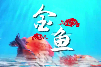 金魚歡躍，流光溢彩！_400.jpg